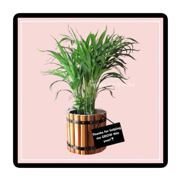 Santa Clara #26 Under Armour Heat Gear SHIRT Size MD 38-40 Protect This House - Picture 13 of 13